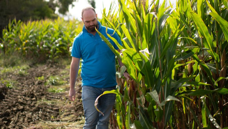 Jake Frecklington DLF Seeds Sales Agronomist in Booster Corson Maize